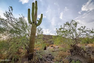 7450 E Forest Trail Circle E #22, Mesa, AZ 85207 - Photo 106
