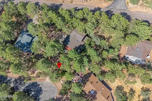 5094 N Juniper Loop, Pine, AZ 85544 - Photo 46
