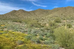 2361 W Turtle Hill Ct, Anthem, AZ 85086 - Photo 36