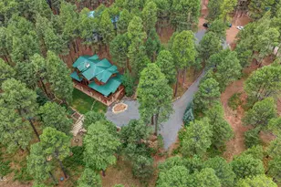 2080 Gobbler Ln, Forest Lakes, AZ 85931 - Photo 90