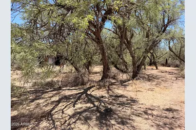 221 E Patton Street, Saint David, AZ 85630 - Photo 34