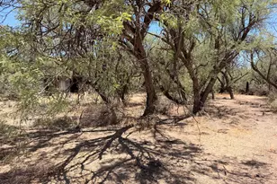 221 E Patton St, Saint David, AZ 85630 - Photo 34