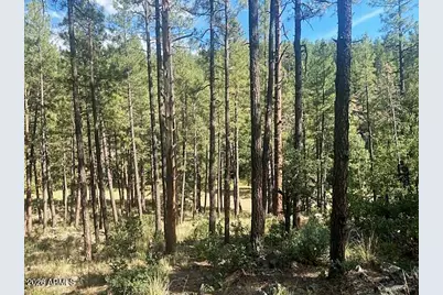 21 S Louie Circle #21, Payson, AZ 85541 - Photo 4