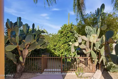 8944 E Lazywood Place, Carefree, AZ 85377 - Photo 58
