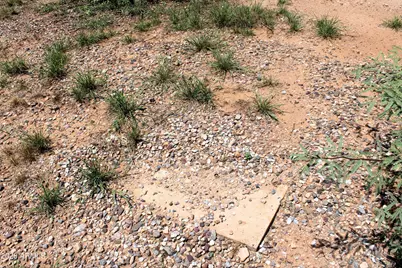 6281 E Az-90 -- #49, Sierra Vista, AZ 85635 - Photo 8