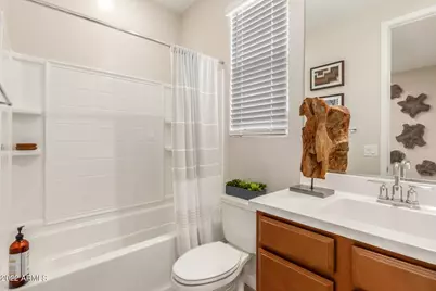 43 E Capricorn Way, Chandler, AZ 85249 - Photo 28