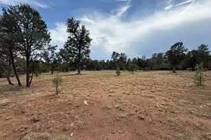 3048 Chevelon Rd, Overgaard, AZ 85933 - Photo 1