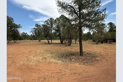 3048 Chevelon Road #147, Overgaard, AZ 85933 - Photo 10