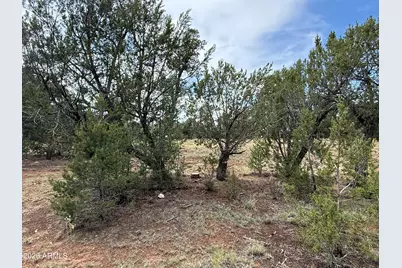 3048 Chevelon Road #147, Overgaard, AZ 85933 - Photo 6