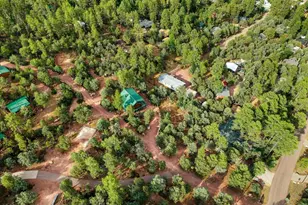 3172 N Jan Trail, Pine, AZ 85544 - Photo 28