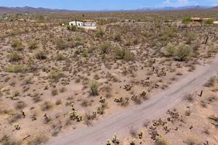 43513 N 261st Ave, Morristown, AZ 85342 - Photo 14