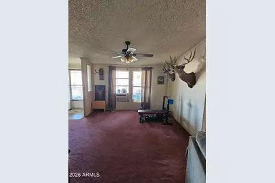 10194 N Mormon Road, Elfrida, AZ 85610 - Photo 14