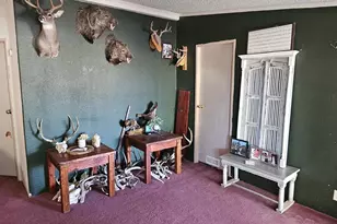 10194 N Mormon Rd, Elfrida, AZ 85610 - Photo 16