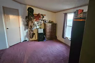 10194 N Mormon Rd, Elfrida, AZ 85610 - Photo 42