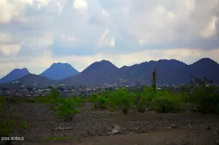 26516 N 122nd Ln, Peoria, AZ 85383 - Photo 48
