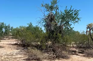 12577 N Hexcel Rd, Florence, AZ 85132 - Photo 1
