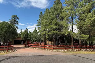 4303 Navajo Dr, Happy Jack, AZ 86024 - Photo 10