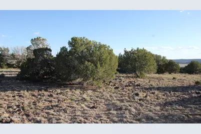 8623 Tbd County Road 8623 -- #62, Concho, AZ 85924 - Photo 10