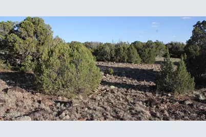 8623 Tbd County Road 8623 -- #62, Concho, AZ 85924 - Photo 2