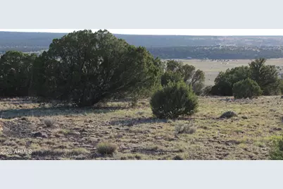 8623 Tbd County Road 8623 -- #62, Concho, AZ 85924 - Photo 4