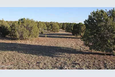 8623 Tbd County Road 8623 -- #62, Concho, AZ 85924 - Photo 6
