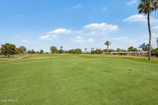 10262 W Snead Circle N, Sun City, AZ 85351 - Photo 44