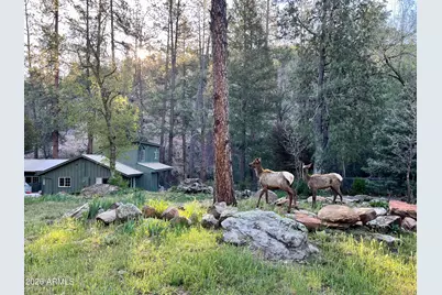 355 W Meadows Place, Payson, AZ 85541 - Photo 6