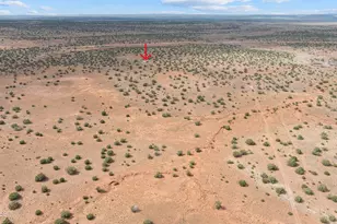 39 N5362 Rd, Concho, AZ 85924 - Photo 34