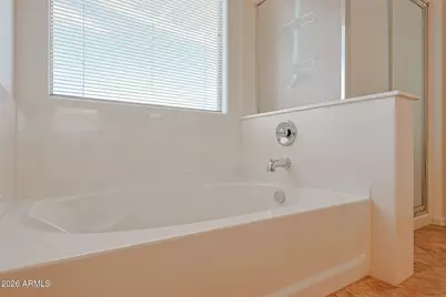 30205 W Flower Street, Buckeye, AZ 85396 - Photo 44
