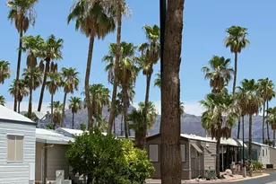 1028 W Pecos Ave, Apache Junction, AZ 85119 - Photo 6