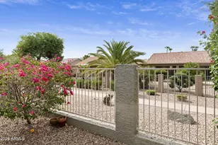 9117 E Diamond Dr, Sun Lakes, AZ 85248 - Photo 34
