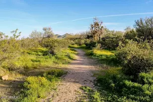 2425 W Bronco Butte Trl, Phoenix, AZ 85085 - Photo 26
