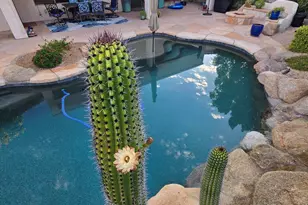 5911 W Hedgehog Pl, Phoenix, AZ 85083 - Photo 34