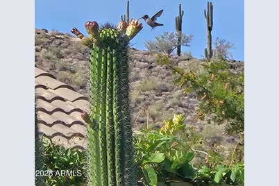 5911 W Hedgehog Place, Phoenix, AZ 85083 - Photo 48