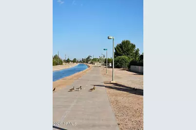 821 N Spur Circle, Mesa, AZ 85203 - Photo 14