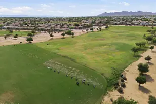 7087 S Fawn Ave, Gilbert, AZ 85298 - Photo 46