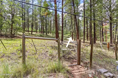 3919 N Paradise Road, Flagstaff, AZ 86004 - Photo 30