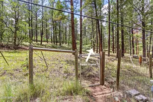 3919 N Paradise Rd, Flagstaff, AZ 86004 - Photo 30