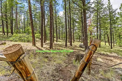 3919 N Paradise Road, Flagstaff, AZ 86004 - Photo 42