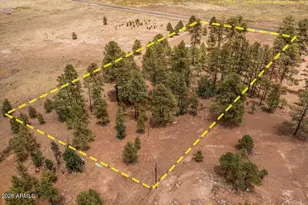 159 Correctional Center Rd, Alpine, AZ 85920 - Photo 30