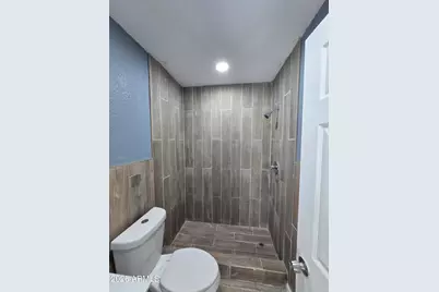1101 E Roosevelt Street, Phoenix, AZ 85006 - Photo 44