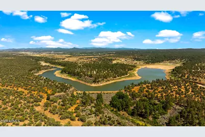 3750 W Pine Mesa Ranch Road, Show Low, AZ 85901 - Photo 46