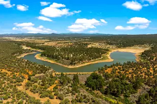 3750 W Pine Mesa Ranch Rd, Show Low, AZ 85901 - Photo 46