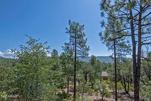 4364 N Strawberry Hollow --, Pine, AZ 85544 - Photo 60