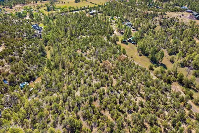 1794 Canyon Drive #-, Heber, AZ 85928 - Photo 4