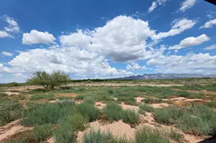 10223 N Mormon Rd, Elfrida, AZ 85610 - Photo 22