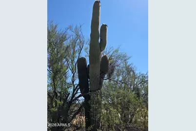 31602 N Black Cross Road #19, Scottsdale, AZ 85266 - Photo 8