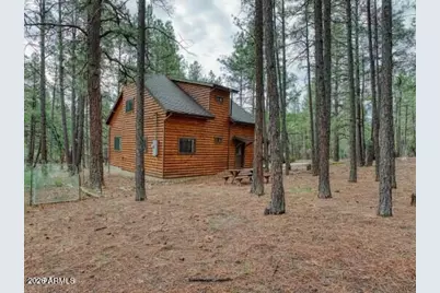5522 Forest Drive, Pinedale, AZ 85934 - Photo 2