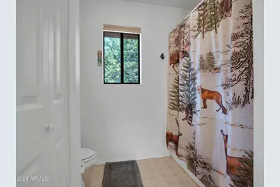 6203 W Hidden Pines Loop, Pine, AZ 85544 - Photo 34