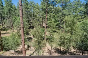 4255 N Strawberry Hollow, Pine, AZ 85544 - Photo 30